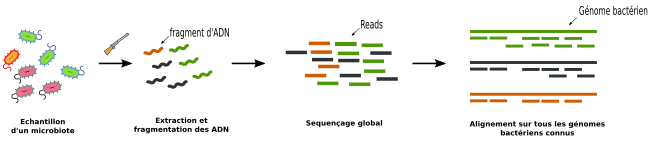 http://dridk.me/images/post20/shotgun_sequencing.png