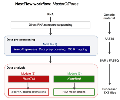 Diagram

Description automatically generated