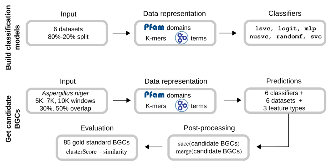 _images/figure3.png