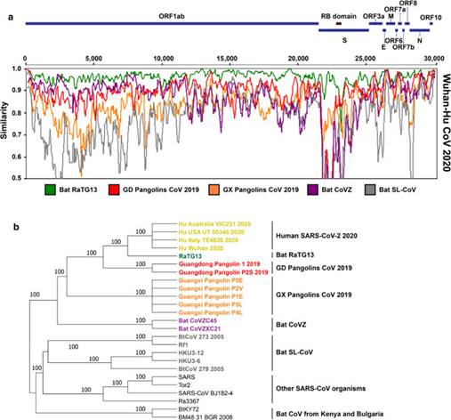 A picture containing chart

Description automatically generated